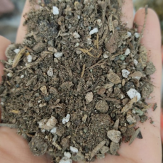 خاک کاکتوس (10لیتر) - 